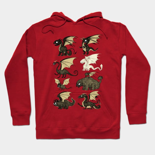 Assorted Dragons Hoodie by djrbennett